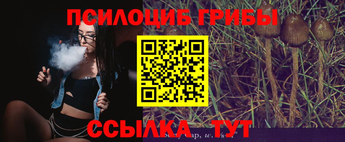 Псилоцибиновые грибы Psilocybine cubensis  Вход с VPN  Коломна 